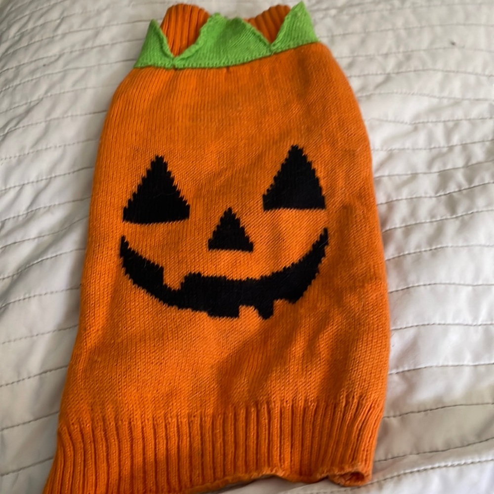jack o'lantern face pumpkin sweater dog or cat or animal Halloween size small/m